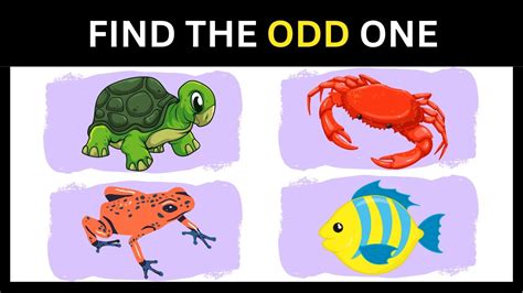tortoise crab frog fish odd one out|REASONING .